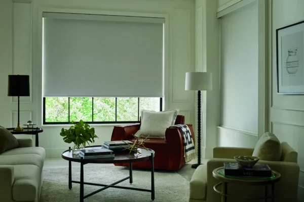 2020_DRS_CC_Amato_LivingRoom