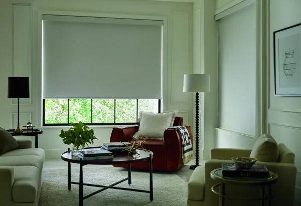 2020_DRS_CC_Amato_LivingRoom