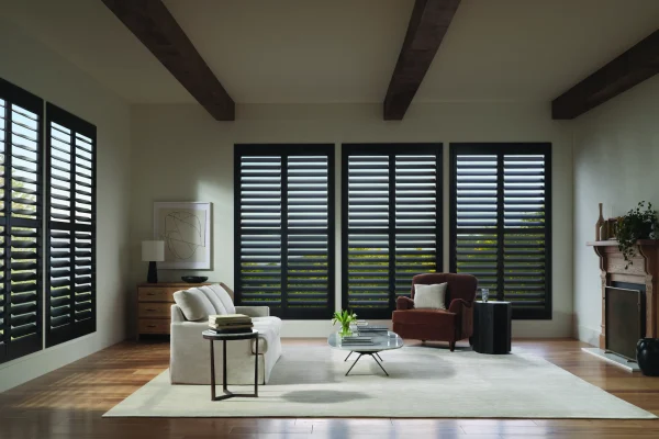 2025_NS_ModernZ_Onyx_LivingRoom_Open
